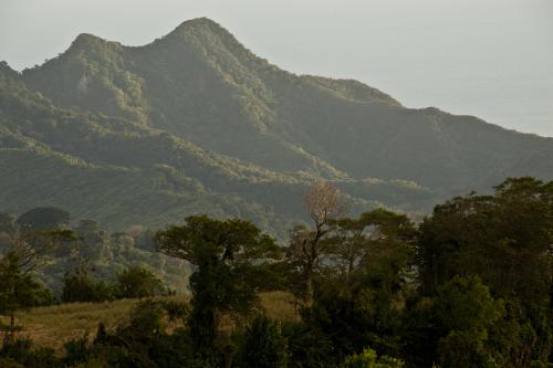 Tour de la biodiversité 