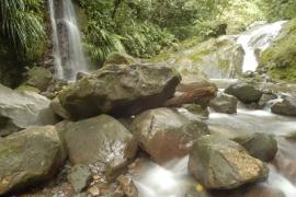 - Parc national de la Guadeloupe