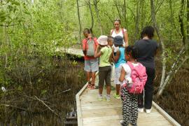 Sortie scolaire © Parc national de la Guadeloupe