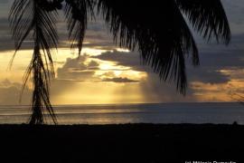 Plage de deshaies - M.Dumoulin - Parc national de la Guadeloupe