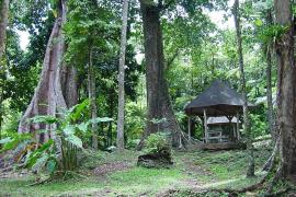 Aire de pique nique ( Beau Soleil ) - Parc national de la Guadeloupe