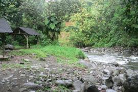 Aire de pique nique - Parc national de la Guadeloupe