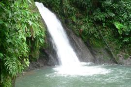 La cascade aux ecrevisses - Parc national de la Guadeloupe