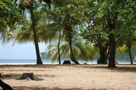 Plage de deshaies - Parc national de la Guadeloupe