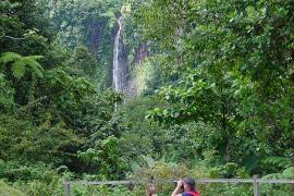 Randonnée aux chutes du carbet - Parc national de la Guadeloupe