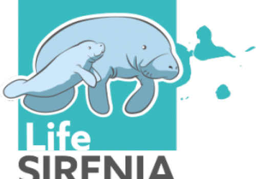 161130_-_logo_life_sirenia.png