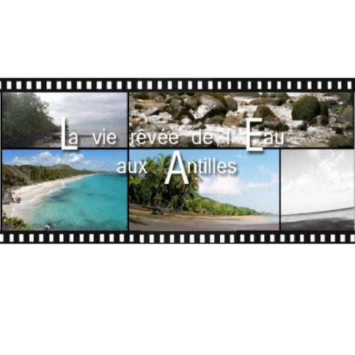 161118_-_visuel_la_vie_revee_de_leau_aux_antilles.jpg