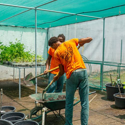 L’Association Saint-Jean de Bosco s’engage pour promouvoir le génie végétal 