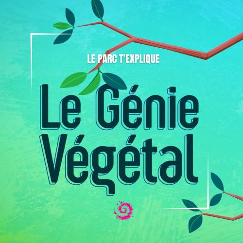 le génie végétal expliqué 