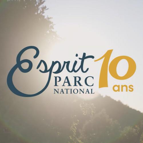 Esprit Parc 10 ans 