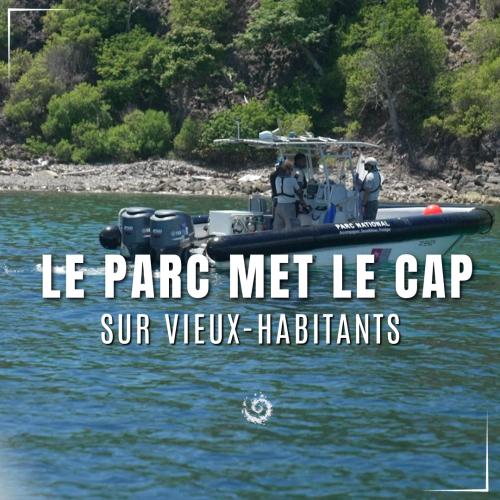 Vieux habitants