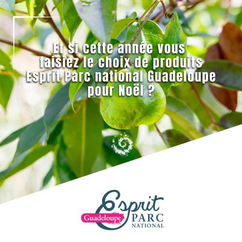 image à la une esprit parc