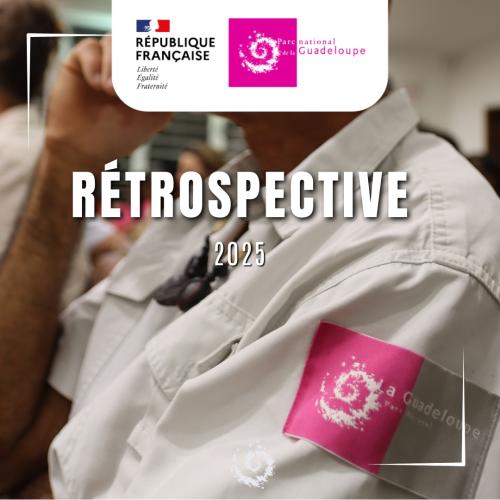 Visuel article rétrospective 2025