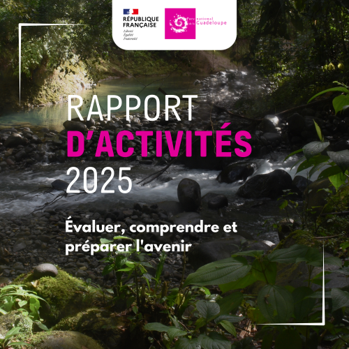 Publication du rapport d'activités 2025