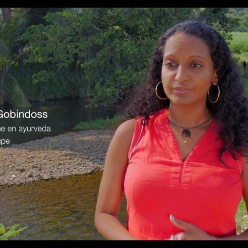Guadeloupe une biosphere holistique 4K @Purevisionfwi