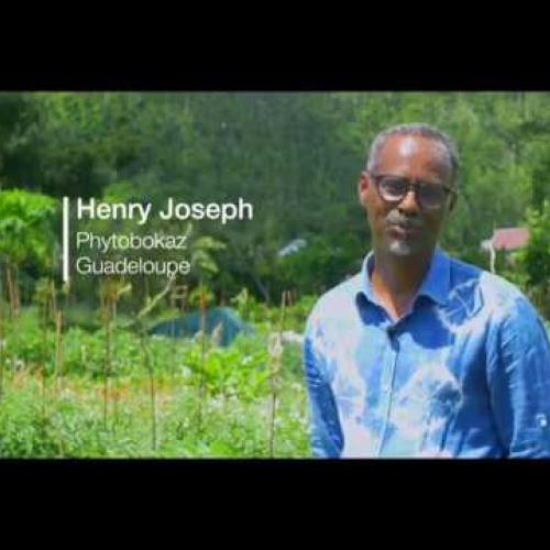 Guadeloupe Bio inspiration et économie Symbiotique 4K @Purevisionfwi