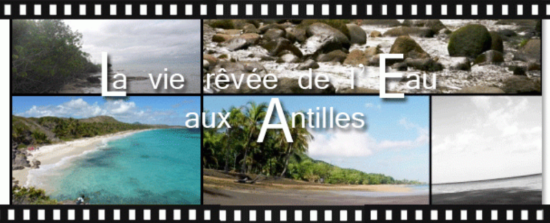 161118_-_visuel_la_vie_revee_de_leau_aux_antilles.png