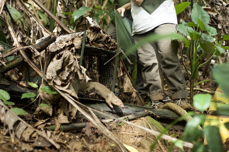  20101129-dsc1209 © Fabien Salles