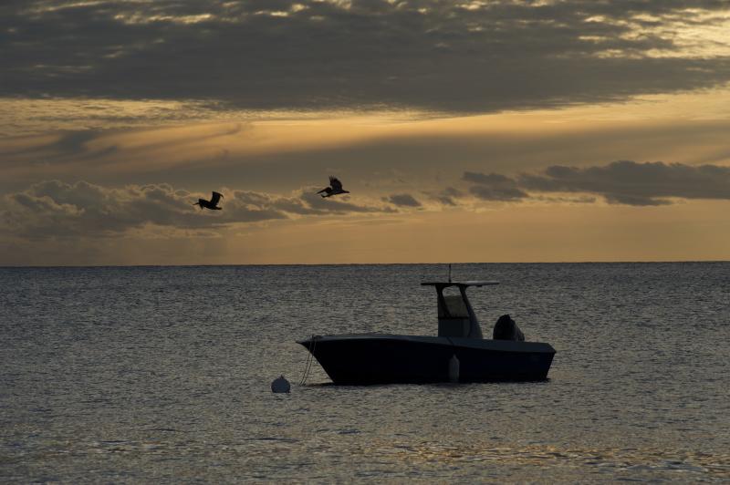  20101204-dsc1413 © Fabien Salles.jpg 