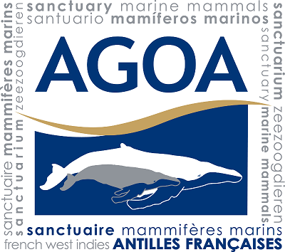 agoa.png