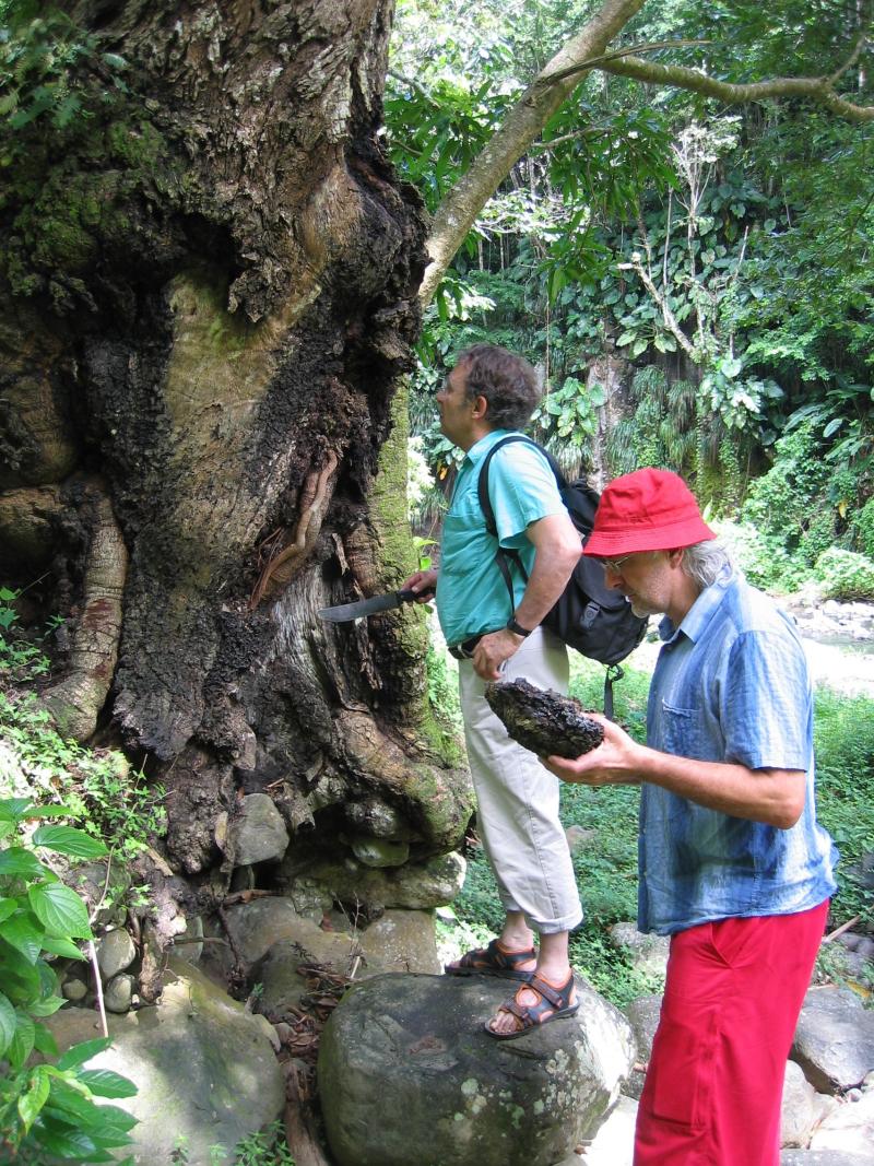 septembre_2007_basse-terre.jpg