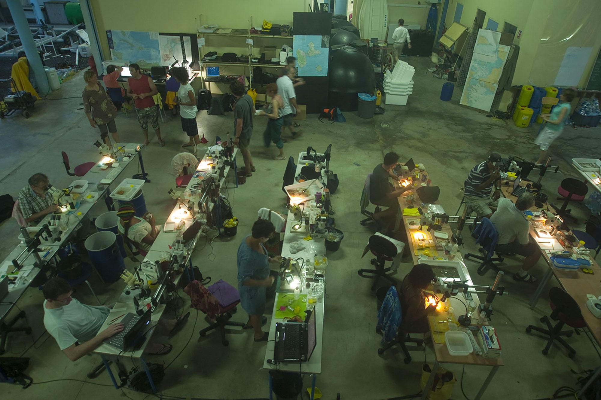 Laboratoire installé Université des Antilles - Karubenthos 