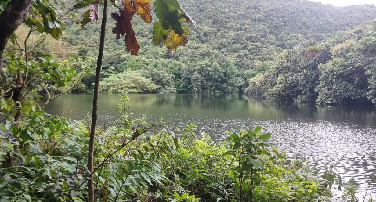 Boucle de l'Etang