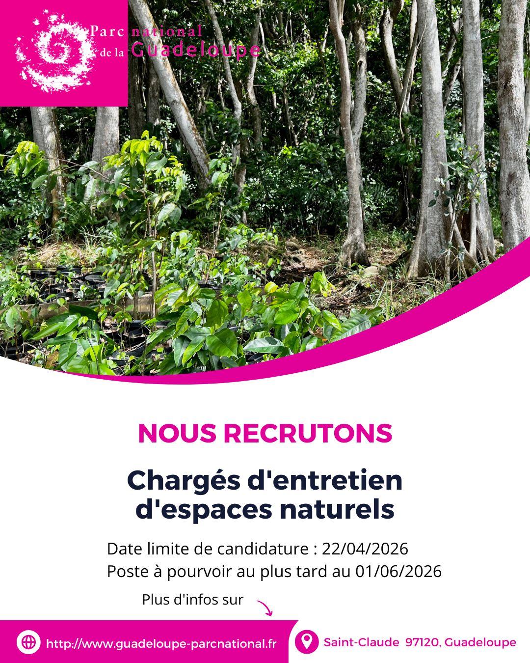recrutement CEEN