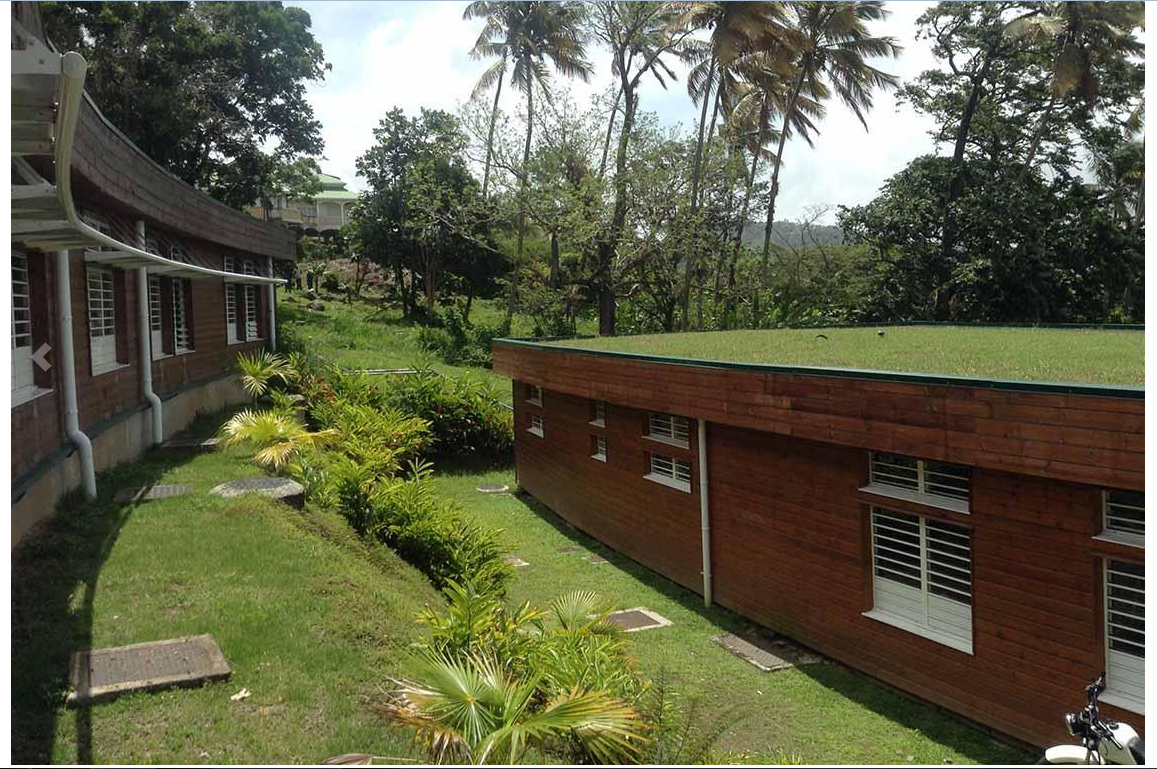 La toiture végétalisée du bâtiment du siège du PNG.png
