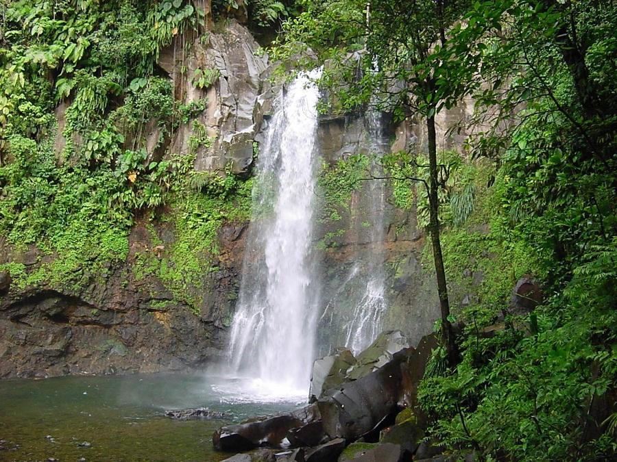 Les chutes du carbet