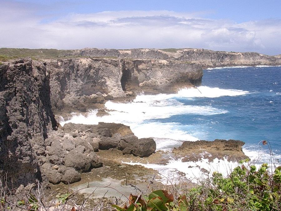 Milieux littoral Grande Terre