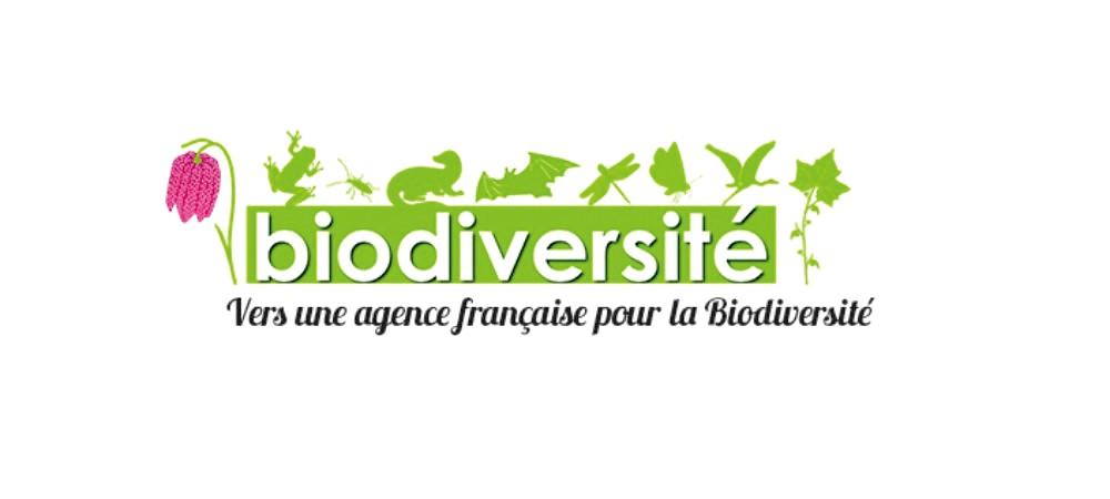 Logo de l'Agence Française pour la Biodiversité - AFB.jpg