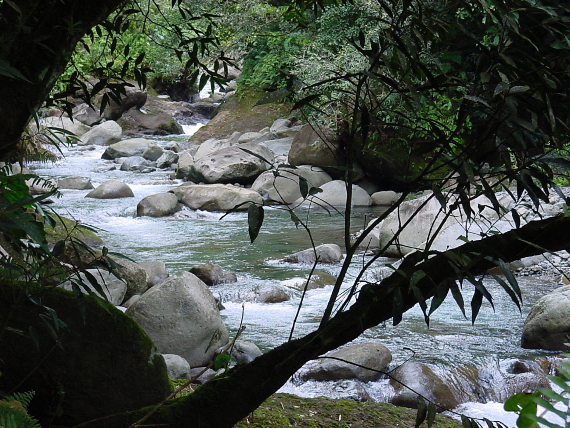 Rivière vieux habitants