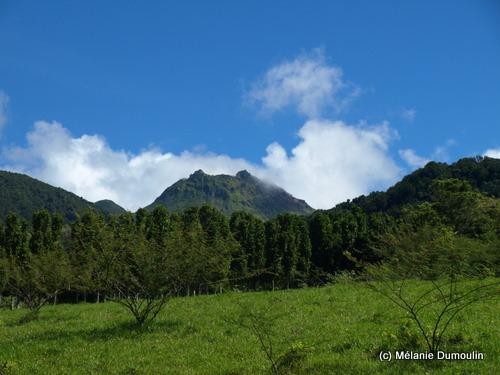 soufrière vue du massif