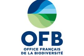 Logo OFB