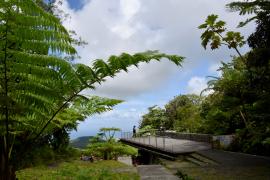 Plateforme des Chutes du Carbet
