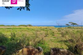  WhatsApp Image 2026-02-24 at 12.31.01