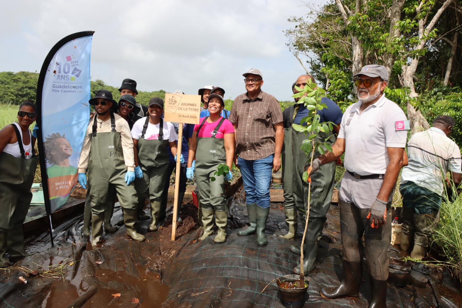 Plantation SAGPC @Didier Baltide