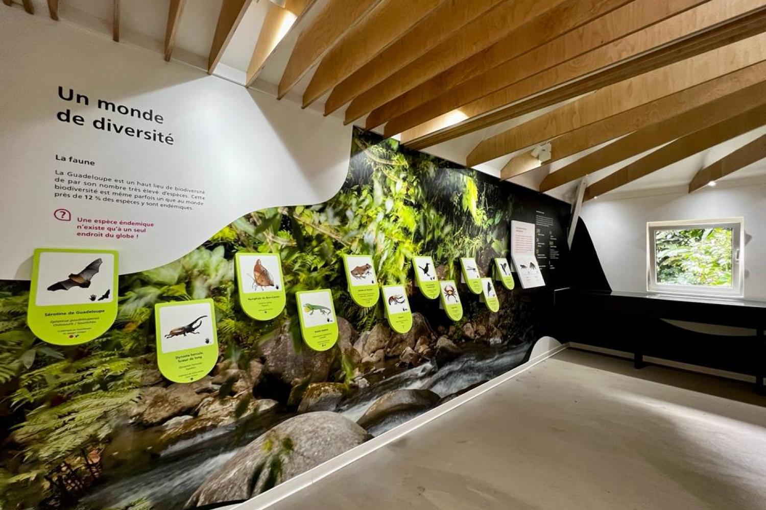 Exposition permanente de la Maison de la forêt
