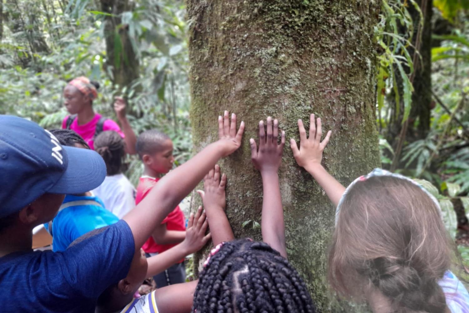 Visite de scolaires à la Maison de la forêt