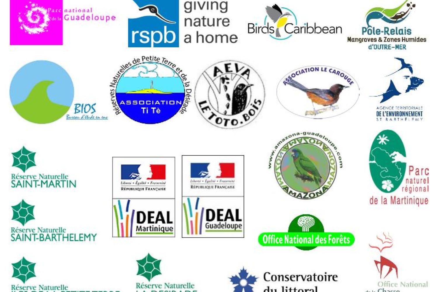 161123_-_assemblage_logos_rencontre_ornitho.jpg