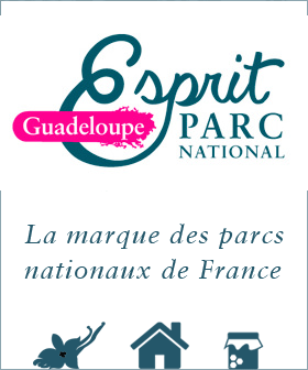 auto_promo_guadeloupe.png