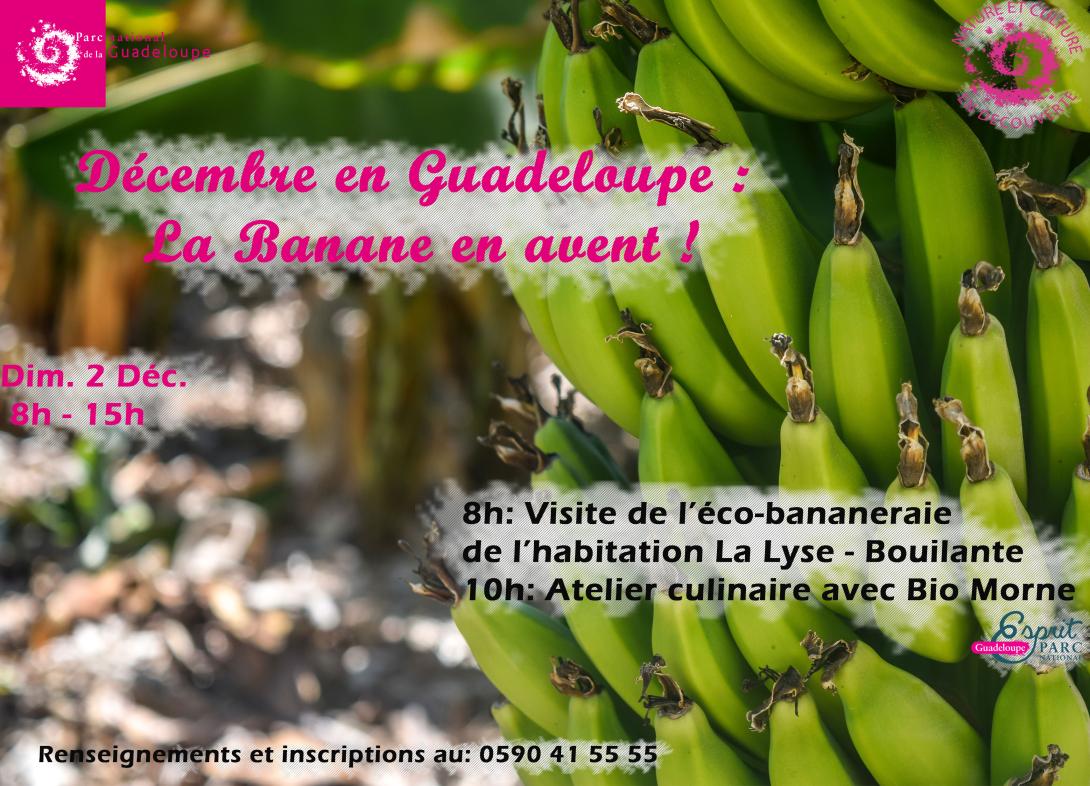 la_banane_en_avant.jpg