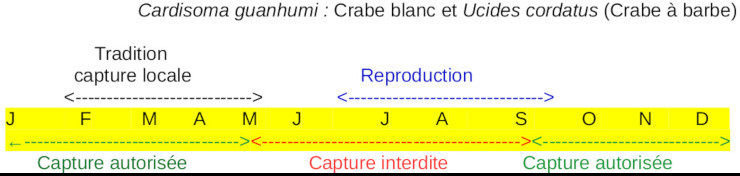Cycle de reproduction et de capture des crabes