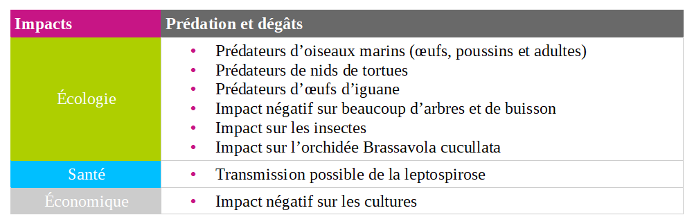 Prédation et dégâts Rat noir (Rattus rattus)